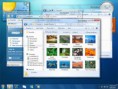 Windows 7 ultrapassa share de 20%